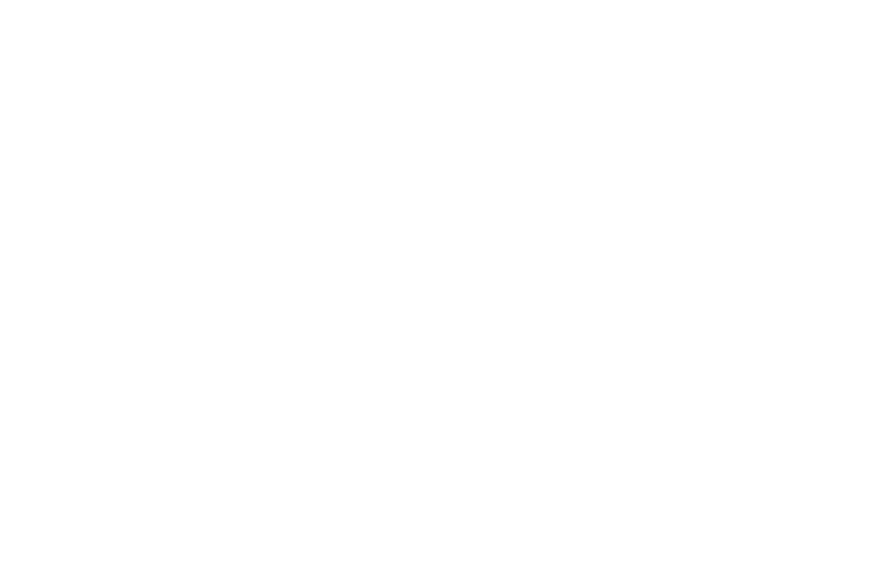 TAM Guide Logo